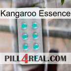Kangaroo Essence 28
